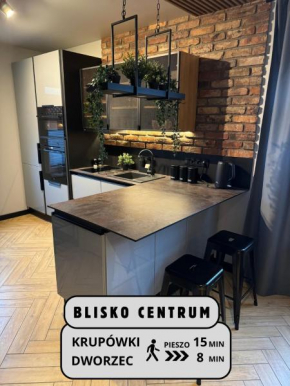 Apartamenty Szary Wilk - klimatyczne apartamenty blisko centrum - BEZPŁATNY PARKING